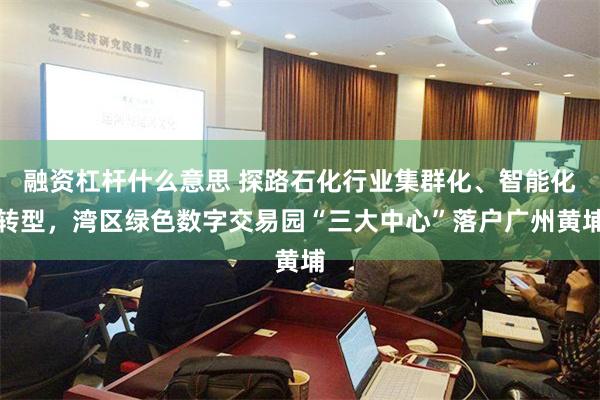 融资杠杆什么意思 探路石化行业集群化、智能化转型，湾区绿色数字交易园“三大中心”落户广州黄埔