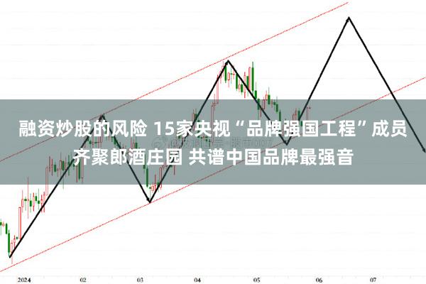 融资炒股的风险 15家央视“品牌强国工程”成员齐聚郎酒庄园 共谱中国品牌最强音