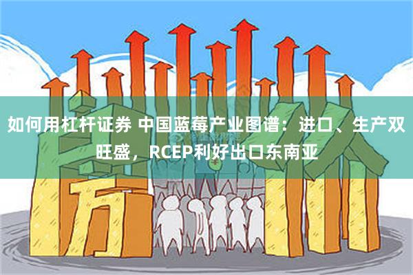 如何用杠杆证券 中国蓝莓产业图谱：进口、生产双旺盛，RCEP利好出口东南亚