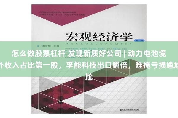 怎么做股票杠杆 发现新质好公司 | 动力电池境外收入占比第一股，孚能科技出口翻倍，难掩亏损尴尬