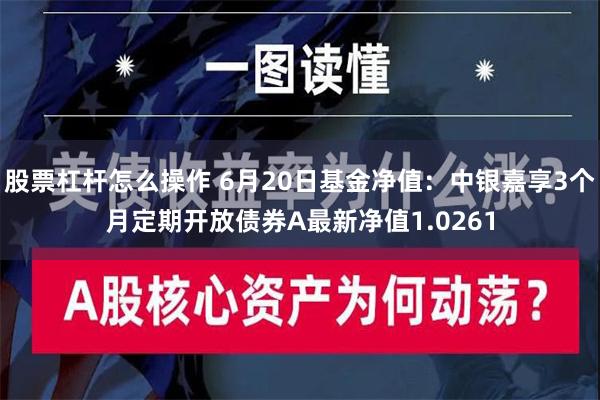 股票杠杆怎么操作 6月20日基金净值：中银嘉享3个月定期开放债券A最新净值1.0261