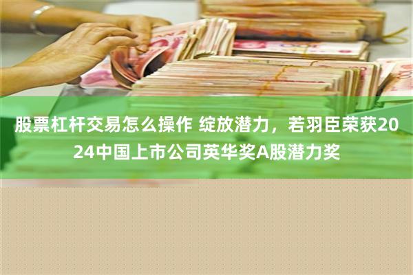 股票杠杆交易怎么操作 绽放潜力，若羽臣荣获2024中国上市公司英华奖A股潜力奖