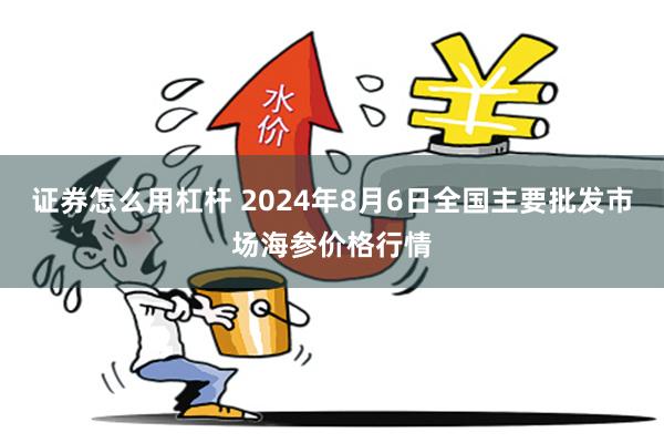 证券怎么用杠杆 2024年8月6日全国主要批发市场海参价格行情