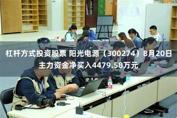 杠杆方式投资股票 阳光电源（300274）8月20日主力资金净买入4479.58万元