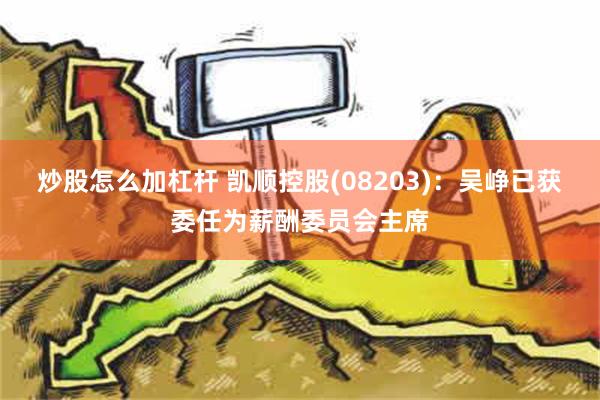 炒股怎么加杠杆 凯顺控股(08203)：吴峥已获委任为薪酬委员会主席