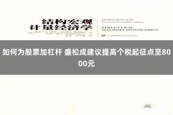 如何为股票加杠杆 盛松成建议提高个税起征点至8000元