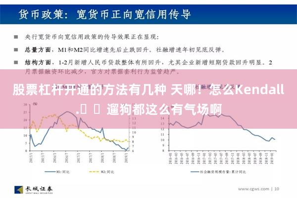 股票杠杆开通的方法有几种 天哪！怎么Kendall.​​遛狗都这么有气场啊