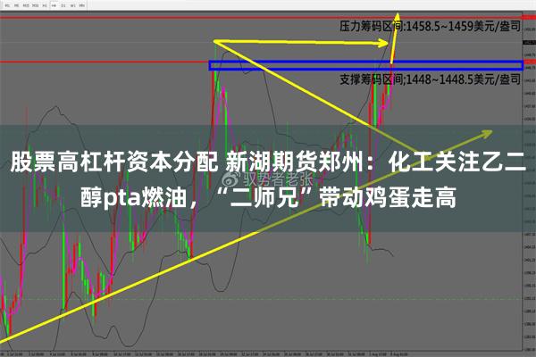 股票高杠杆资本分配 新湖期货郑州：化工关注乙二醇pta燃油，“二师兄”带动鸡蛋走高