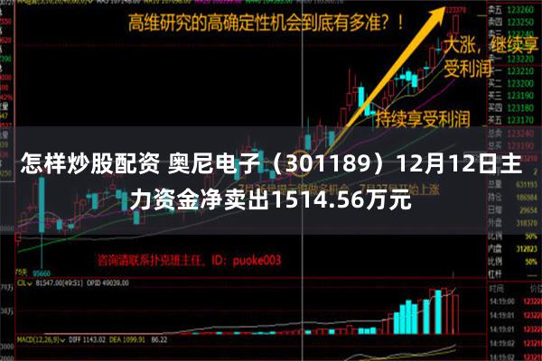 怎样炒股配资 奥尼电子（301189）12月12日主力资金净卖出1514.56万元