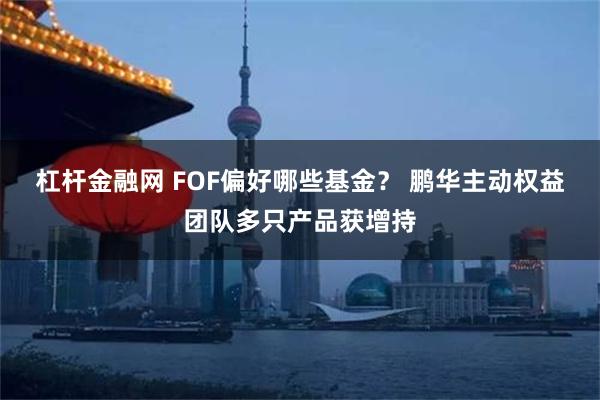 杠杆金融网 FOF偏好哪些基金？ 鹏华主动权益团队多只产品获增持